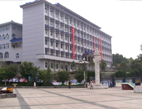 School of Literature and Communication